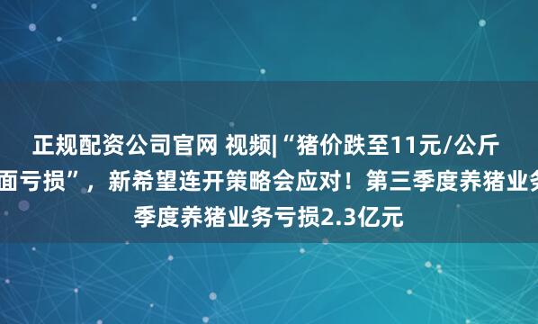正规配资公司官网 视频|“猪价跌至11元/公斤 ，已使行业全面亏损”，新希望连开策略会应对！第三季度养猪业务亏损2.3亿元